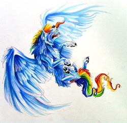 Size: 1953x1895 | Tagged: safe, artist:lucky978, rainbow dash, wolf, g4, female, paw pads, solo, species swap, traditional art, wolf dash, wolfified