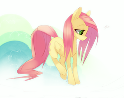 Size: 1187x941 | Tagged: safe, artist:skygracer, fluttershy, g4, female, solo