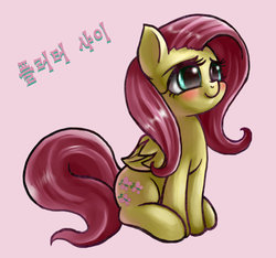 Size: 925x864 | Tagged: safe, artist:mrs1989, fluttershy, g4, cute, female, korean, shyabetes, solo