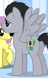 Size: 332x536 | Tagged: safe, screencap, derpy hooves, lucky clover, parasol, earth pony, pegasus, pony, g4, sonic rainboom (episode), alternative cutie mark placement, animated, animation error, butt, cropped, female, gif, inner thigh cutie mark, male, mare, plot, race swap, stallion