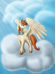 Size: 1200x1600 | Tagged: safe, artist:adalbertus, oc, oc only, cloud, cloudy, goggles, solo