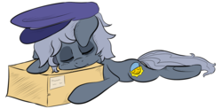 Size: 1280x630 | Tagged: safe, artist:lyralicious, oc, oc only, oc:sleepyhead, earth pony, pony, hat, package, simple background, sleeping, solo, transparent background