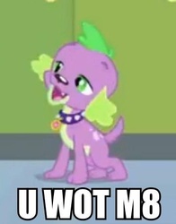 Size: 356x453 | Tagged: safe, edit, edited screencap, screencap, spike, dog, equestria girls, g4, my little pony equestria girls, cropped, image macro, male, reaction image, solo, spike the dog, u wot m8