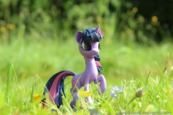 Size: 5184x3456 | Tagged: safe, artist:sameasusual, twilight sparkle, g4, absurd resolution, customized toy, irl, photo, sculpture, toy