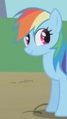 Size: 133x233 | Tagged: safe, rainbow dash, g4, female, hilarious in hindsight, solo, wrong neighborhood