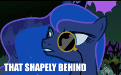 Size: 1000x625 | Tagged: safe, princess luna, g4, classy, dat ass, female, image macro, meme, monocle, solo, sunglasses