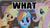 Size: 1000x554 | Tagged: safe, edit, edited screencap, screencap, applejack, fluttershy, rainbow dash, bridle gossip, g4, my little pony: friendship is magic, image macro, reaction image