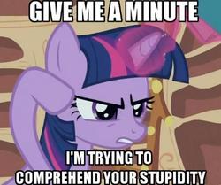 Size: 640x534 | Tagged: safe, twilight sparkle, g4, female, image macro, reaction image, solo