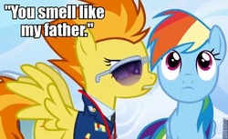 Size: 550x336 | Tagged: safe, rainbow dash, spitfire, pegasus, pony, g4, image macro, text