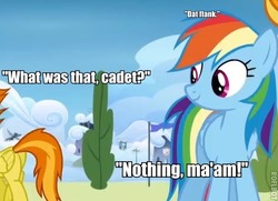 Size: 474x344 | Tagged: safe, edit, edited screencap, screencap, rainbow dash, spitfire, pegasus, pony, g4, butt, caption, dat ass, eyes on the prize, female, image macro, looking at butt, mare, meme, plot