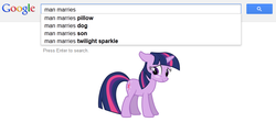 Size: 787x349 | Tagged: safe, twilight sparkle, g4, google, marriage, text