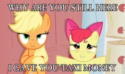 Size: 568x336 | Tagged: safe, edit, edited screencap, screencap, apple bloom, applejack, earth pony, pony, apple family reunion, g4, bed, caption, female, filly, image macro, implied prostitution, mare, on back, pillow