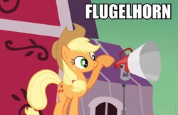 Size: 960x623 | Tagged: safe, applejack, g4, female, flugelhorn, image macro, solo