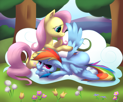 Size: 1280x1066 | Tagged: safe, artist:poneebill, fluttershy, rainbow dash, g4, broken, crying, sad, wings