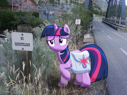 Size: 2834x2125 | Tagged: safe, artist:chinchillax, twilight sparkle, g4, bridge, irl, photo, ponies in real life, sad, saddle bag, solo