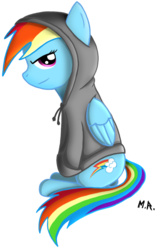 Size: 571x918 | Tagged: safe, artist:shadowninja976, rainbow dash, g4, clothes, female, hoodie, solo