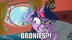 Size: 2000x1125 | Tagged: safe, twilight sparkle, g4, brony, female, image macro, solo, twilight snapple