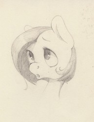 Size: 927x1200 | Tagged: safe, artist:wolfiedrawie, fluttershy, pony, g4, alternate hairstyle, female, monochrome, portrait, solo, traditional art