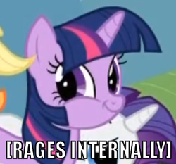 Size: 329x307 | Tagged: safe, twilight sparkle, g4, descriptive noise, image macro, twiface, wrong neighborhood, x internally