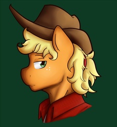 Size: 1000x1080 | Tagged: safe, artist:nolycs, applejack, earth pony, anthro, g4, applejack (male), male, profile, rule 63, simple background, solo