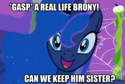 Size: 838x565 | Tagged: safe, princess luna, g4, brony, bronybait, female, image macro, solo, text