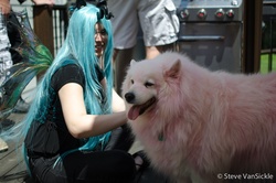 Size: 999x662 | Tagged: artist needed, safe, queen chrysalis, oc, oc:fluffle puff, dog, human, g4, cosplay, irl, irl dog, irl human, photo, samoyed