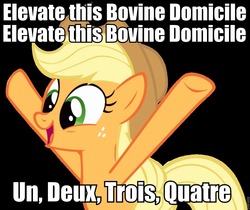 Size: 960x806 | Tagged: safe, applejack, g4, french, image macro, intellectually hilarious, joseph ducreux, raise this barn, sesquipedalian loquaciousness