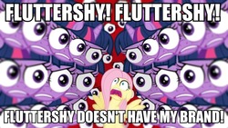 Size: 800x450 | Tagged: safe, edit, edited screencap, screencap, fluttershy, twilight sparkle, g4, hurricane fluttershy, image macro, my brand, special eyes