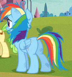 Size: 479x506 | Tagged: safe, screencap, chickadee, ms. peachbottom, rainbow dash, pony, g4, games ponies play, animated, butt, cropped, female, messy mane, panting, plot, solo focus