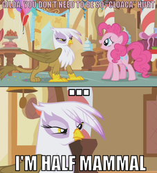 Size: 658x726 | Tagged: safe, edit, edited screencap, screencap, gilda, pinkie pie, griffon, g4, griffon the brush off, butthurt, caption, image macro, implied cloaca