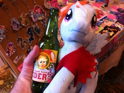 Size: 1280x956 | Tagged: safe, rainbow dash, trotcon, trotcon 2013, g4, cider, funrise, irl, photo, pirate dash, plushie