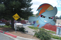 Size: 3872x2592 | Tagged: safe, artist:utterlyludicrous, rainbow dash, pegasus, pony, g4, blurry, cloud, first world anarchist, flying, fuck the police, irl, photo, ponies in real life, sign, slow, solo, street, tree, vector