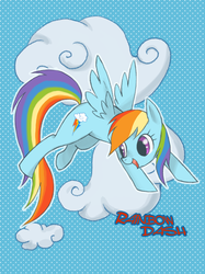 Size: 800x1067 | Tagged: safe, artist:wolhim, rainbow dash, g4, female, solo