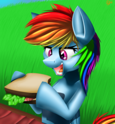 Size: 1845x1984 | Tagged: safe, artist:ralek, rainbow dash, g4, female, sandwich, solo