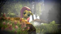 Size: 1920x1080 | Tagged: safe, artist:d0ntst0pme, fluttershy, g4, 3d, female, gmod, solo, wallpaper