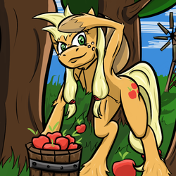 Size: 1000x1000 | Tagged: safe, artist:fatbadgerstudios, applejack, g4, alternate hairstyle, female, pigtails, solo, unshorn fetlocks