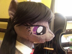 Size: 1280x960 | Tagged: safe, artist:tres-apples, octavia melody, g4, irl, musical instrument, photo, plushie, violin