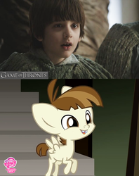 Size: 1074x1356 | Tagged: safe, featherweight, g4, comparison, game of thrones, look-alike, robin arryn