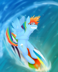 Size: 688x851 | Tagged: safe, artist:cartoonlion, rainbow dash, g4, riding, surfing, water