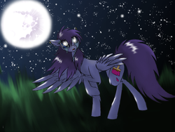 Size: 2560x1920 | Tagged: safe, artist:tay-niko-yanuciq, oc, oc only, pegasus, pony, chest fluff, crying, ear fluff, moon, moonlight, night, solo