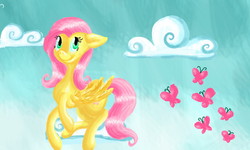 Size: 800x480 | Tagged: safe, artist:essely, fluttershy, butterfly, g4, cloud, cloudy, female, solo