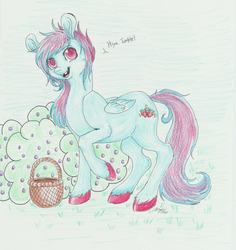 Size: 1190x1263 | Tagged: safe, artist:bekuno, winterberry, oc, oc only, pegasus, pony, ask, basket, solo, unshorn fetlocks