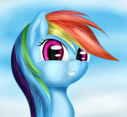 Size: 2700x2500 | Tagged: safe, artist:srk-ares, rainbow dash, pegasus, pony, g4, bust, day, female, looking at you, mare, portrait, sky, smiling, smiling at you, solo