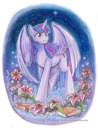 Size: 631x827 | Tagged: safe, artist:jayelle-anderson, twilight sparkle, alicorn, pony, g4, book, female, flower, mare, solo, traditional art, twilight sparkle (alicorn)