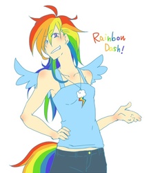 Size: 470x537 | Tagged: safe, artist:rustybk, rainbow dash, human, g4, breasts, delicious flat chest, female, humanized, pixiv, solo, tailed humanization, winged humanization