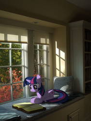 Size: 1440x1920 | Tagged: safe, artist:bryal, twilight sparkle, g4, book, irl, photo, ponies in real life, reading, solo