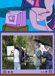 Size: 563x771 | Tagged: safe, twilight sparkle, big cat, human, tiger, g4, baby, exploitable meme, facehoof, fail, meme, out of context, parenting, pram, safety, this will end in tears and/or death, tv meme, zoo