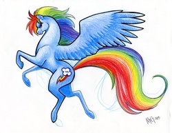 Size: 900x693 | Tagged: safe, artist:megsyv, rainbow dash, g4, female, simple background, solo, traditional art
