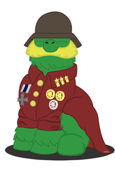 Size: 1575x2325 | Tagged: safe, artist:tricornking, fluffy pony, medals, military, solo