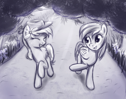 Size: 588x464 | Tagged: safe, artist:fajeh, applejack, rainbow dash, g4, duo, flower, flower in hair, monochrome